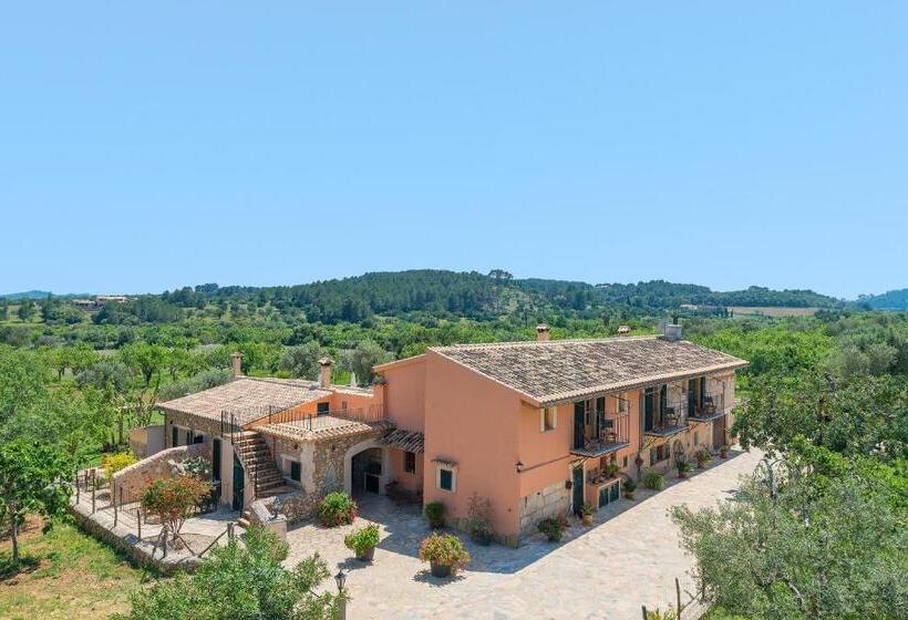 Номер Стандарт с Террасой, Finca   Agroturisme Sa Parellada