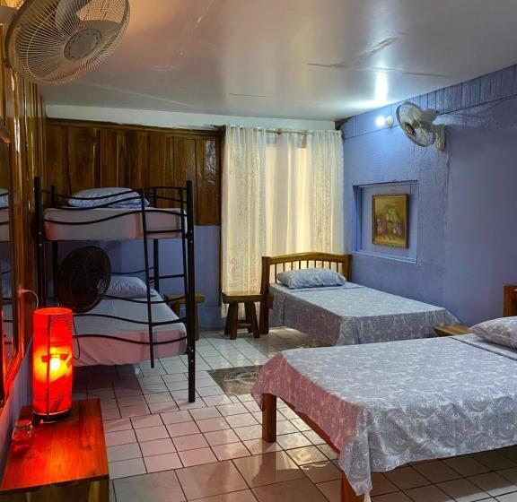 سرير فى غرفة مشتركه, Mauras Tropical Mini Hostel & Tours