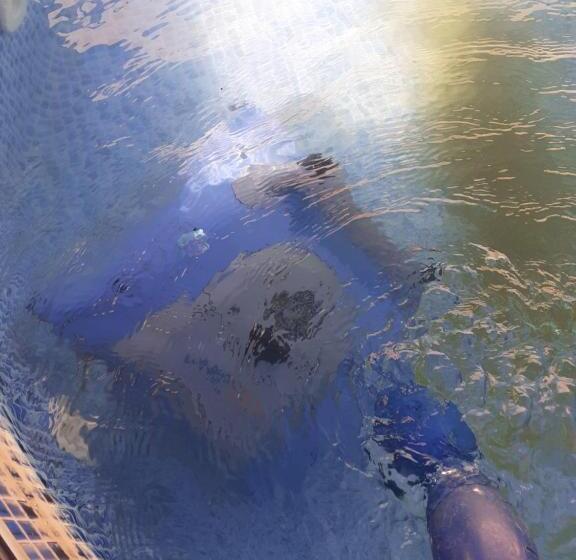 스위트 킹사이즈 침대, Pousada Acolhedora