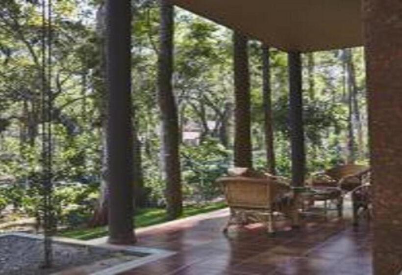 Вилла 3 Спальни, The Birchwood Retreat, Madikeri