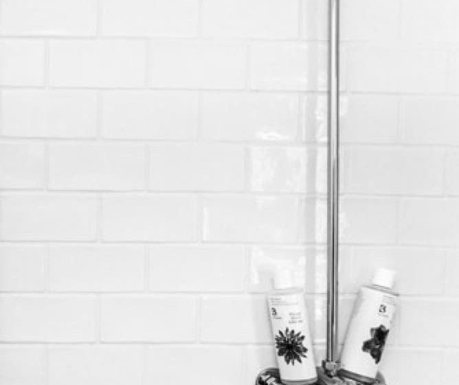 スタンダードルーム, The Black Fox