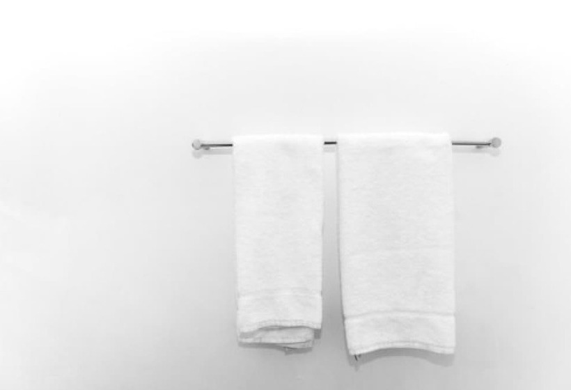 スタンダードルーム, The Black Fox