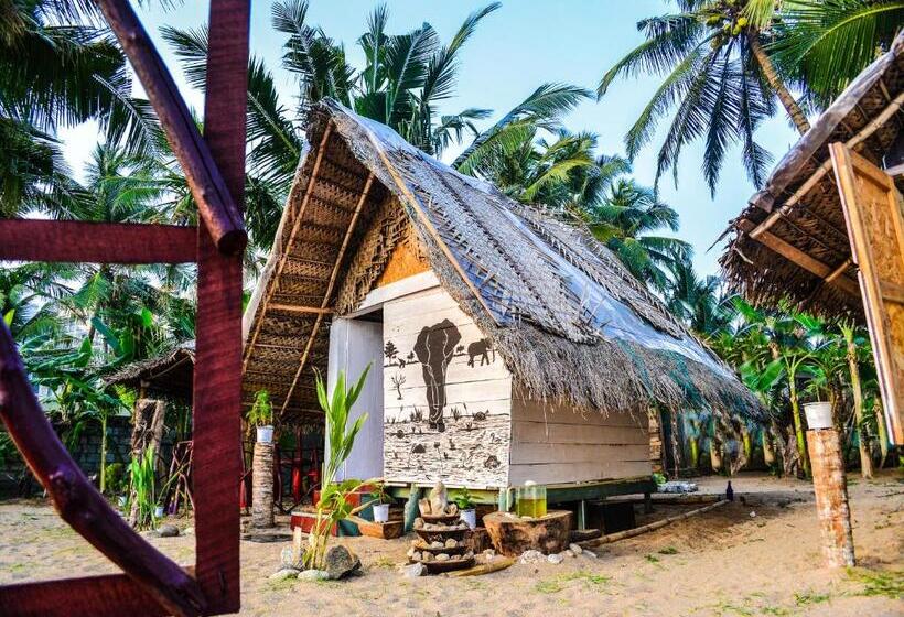 Quarto Economy, Rosa Shashi Cabanas