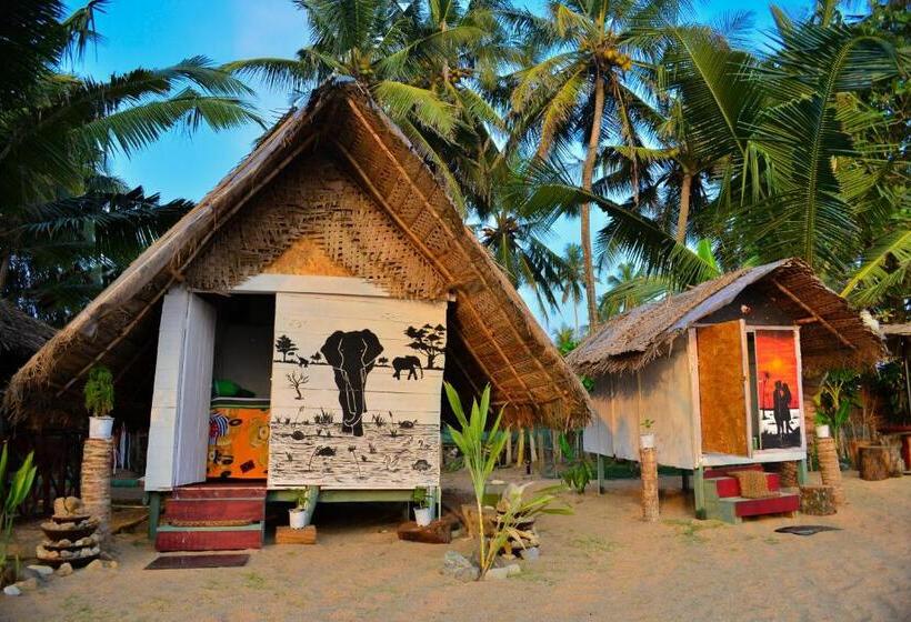 اتاق اکونومی, Rosa Shashi Cabanas