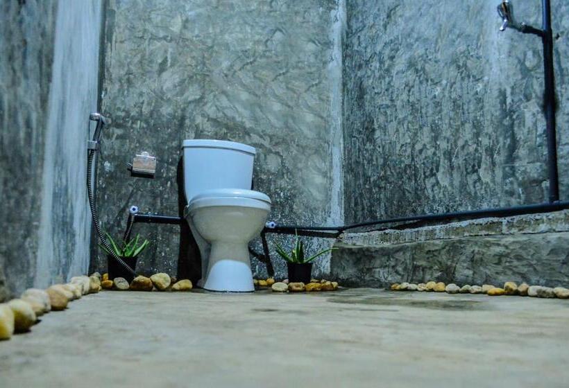 اتاق اکونومی, Rosa Shashi Cabanas