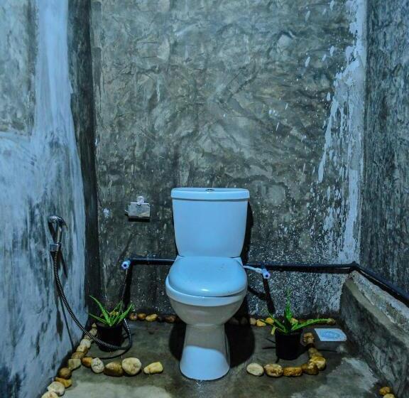 اتاق اکونومی, Rosa Shashi Cabanas