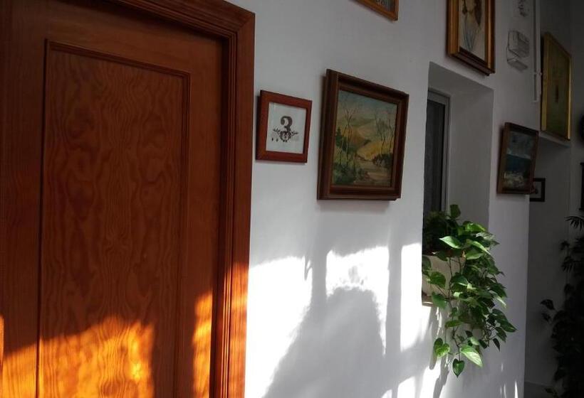 インサイドのシングルルーム, Hostal Manolo