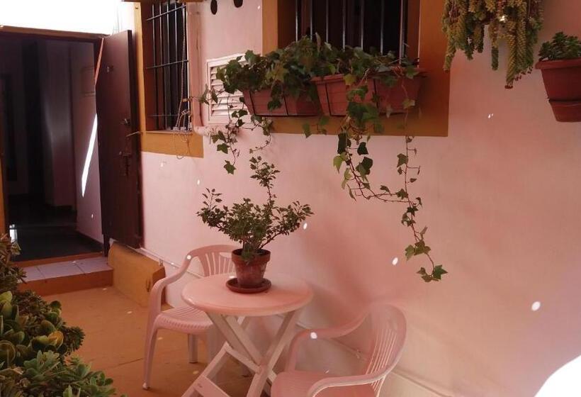 シングルデラックスルーム, Hostal Manolo