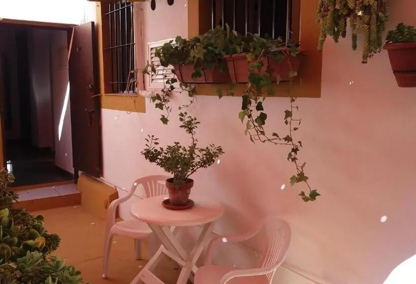 シングルデラックスルーム, Hostal Manolo
