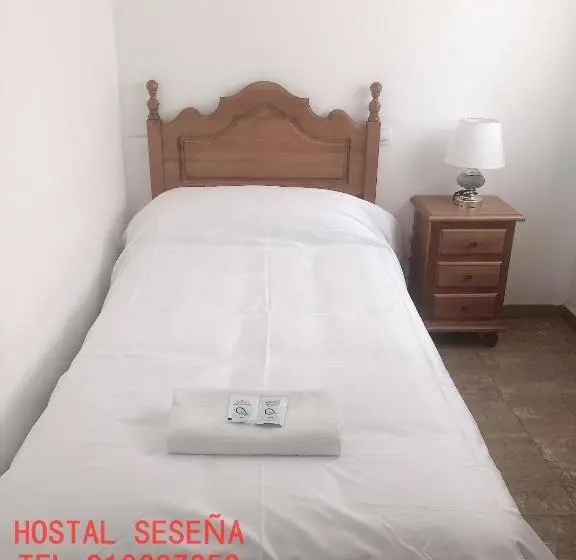 スタンダードシングルルーム, Hostal Seseña