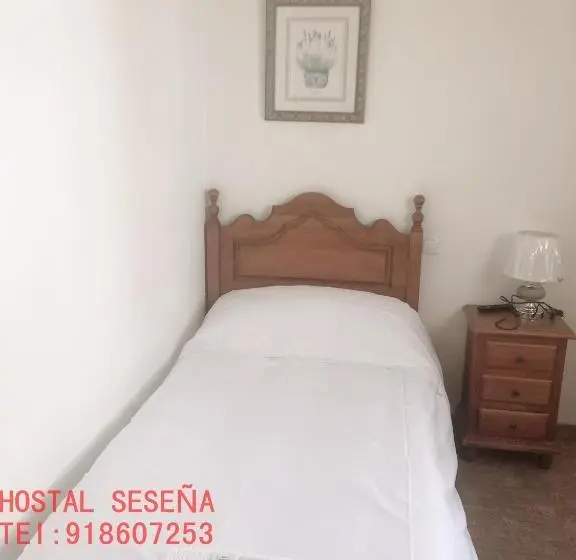 スタンダードシングルルーム, Hostal Seseña