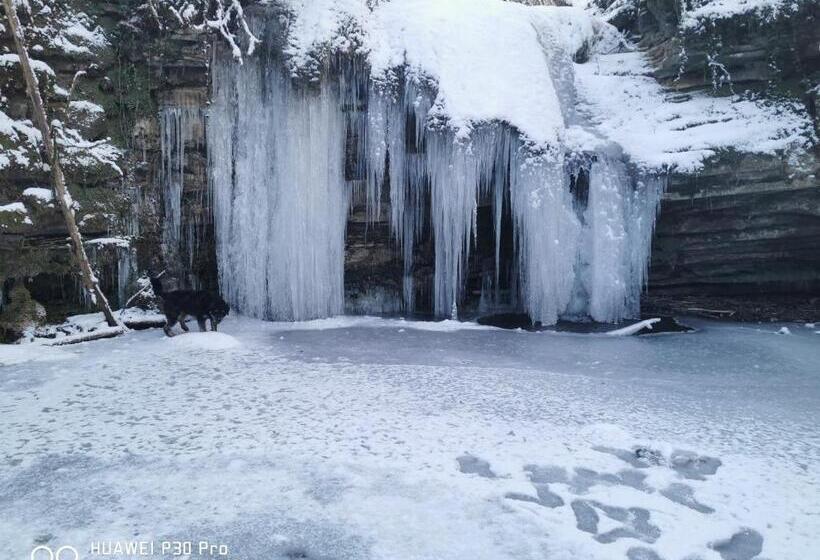 带1个卧室的公寓, Allotjaments Rurals Can Punti