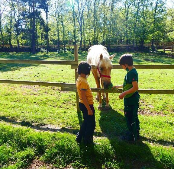 패밀리 룸, Eco Urbion