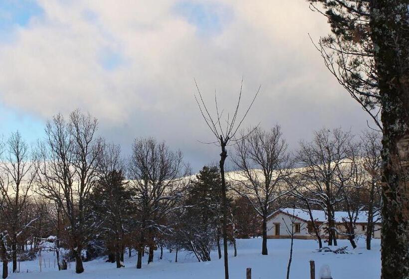 수피리어 패밀리 룸, Eco Urbion