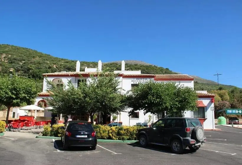 スタンダードルーム, Hostal La Zamora