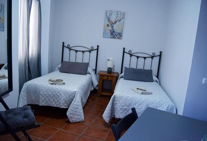 기본룸, Pensión San Marcos