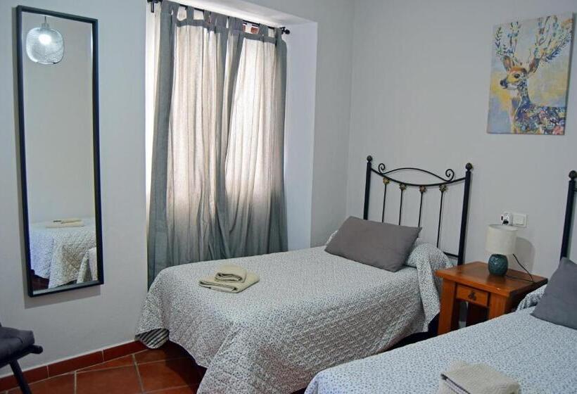 기본룸, Pensión San Marcos