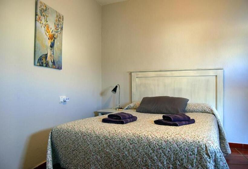 이코노미 룸, Pensión San Marcos