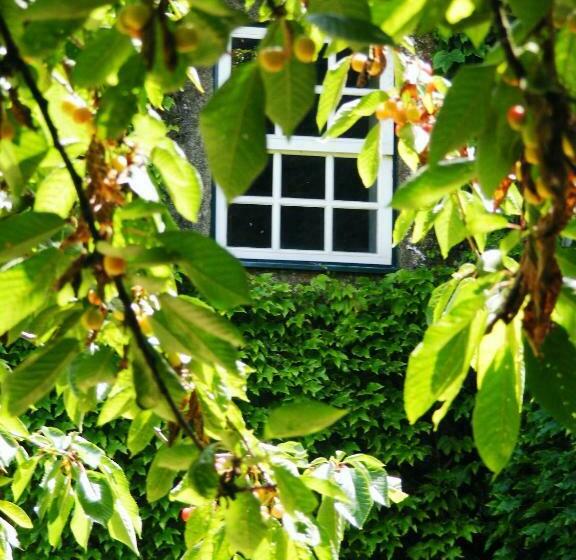 اتاق لوکس با چشمانداز باغ, Casa Dos Barros Winery Lodge By Vintage Theory