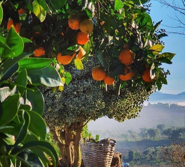 اتاق استاندارد, Casa Dos Barros Winery Lodge By Vintage Theory