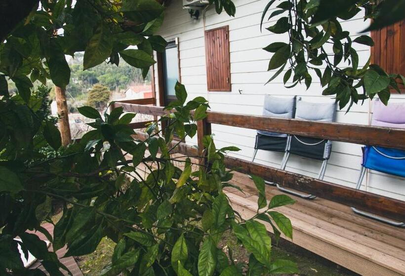 بنگله خانوادگی, Jantesta Guest House