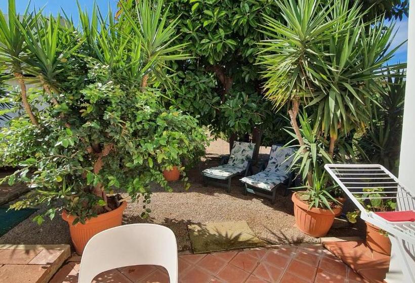 舒适三人间, Arenosu Comfort Country Resort