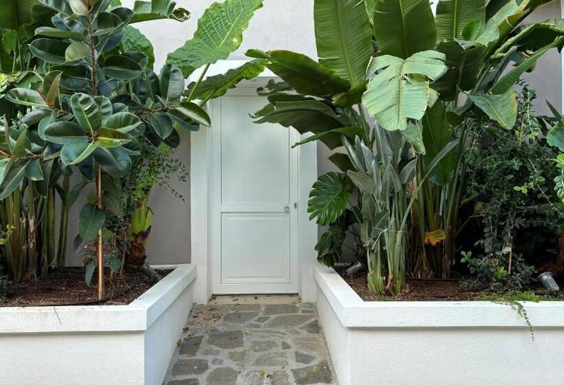 スタンダードスタジオ, Ancora Resort