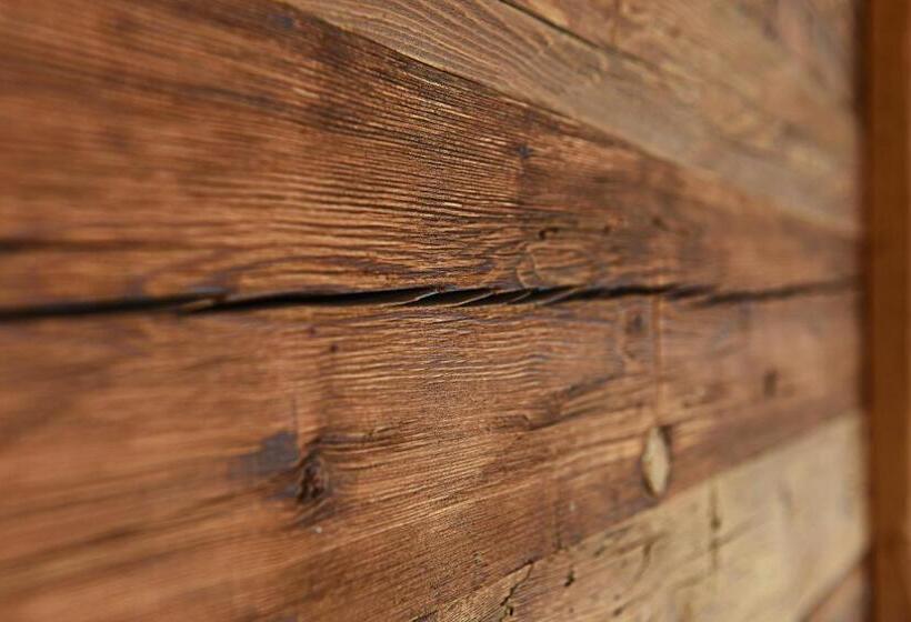 דירת שני חדרים, Aurina Lodges