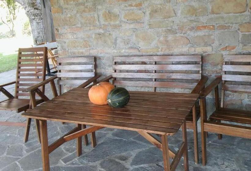 דירת חדר בקומת קרקע, Agriturismo Il Bacucco