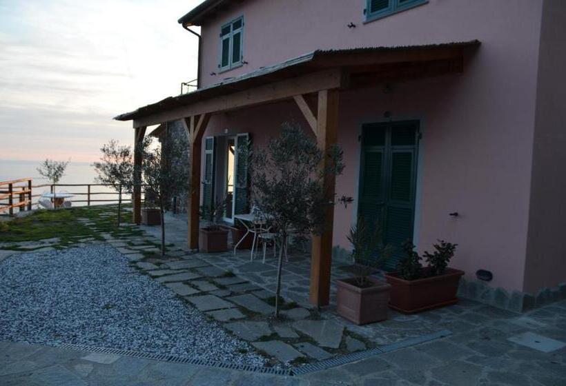 公園の見えるスタンダードルーム, Cadè Ventu