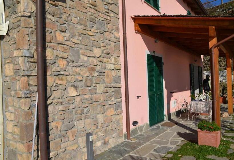 スタンダードルーム, Cadè Ventu