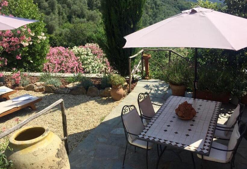 جناح ديلوكس, Casa Carpe Diem A Villa Barca