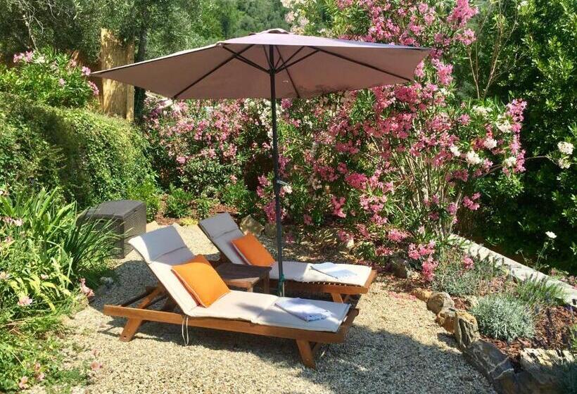 جناح ديلوكس, Casa Carpe Diem A Villa Barca