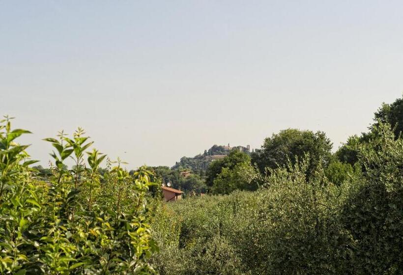 带1个卧室的公寓, Agriturismo I Roseti