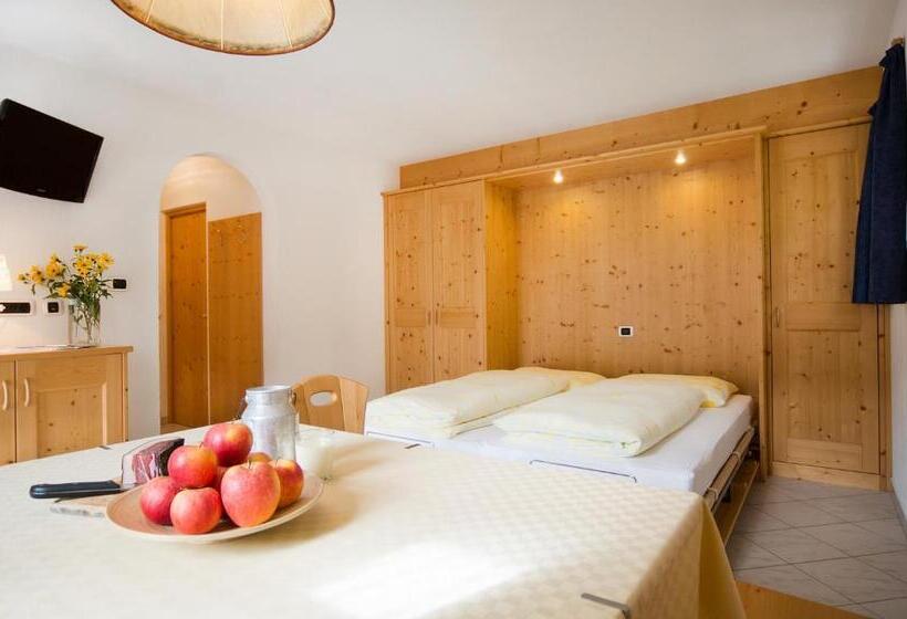 Апартаменты 1 Спальня с Видом, Bärntalerhof