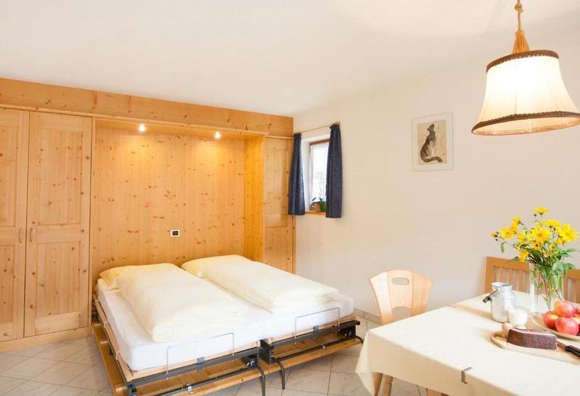 Апартаменты 1 Спальня с Видом, Bärntalerhof