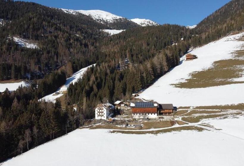 Апартаменты 1 Спальня с Видом, Bärntalerhof