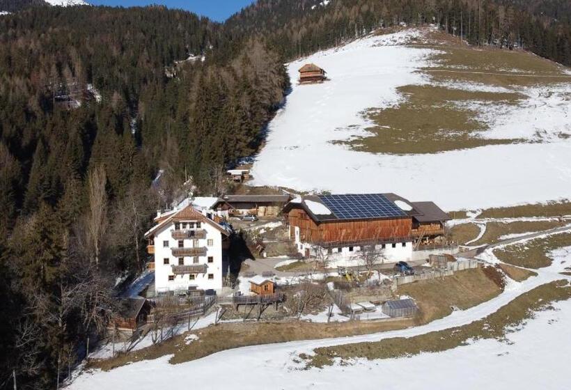 Апартаменты 1 Спальня с Видом, Bärntalerhof