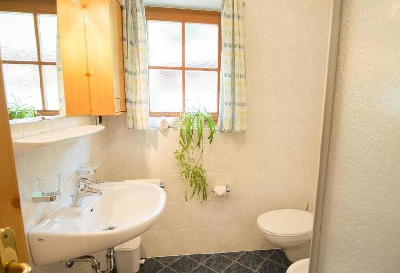 Апартаменты 1 Спальня с Видом, Bärntalerhof