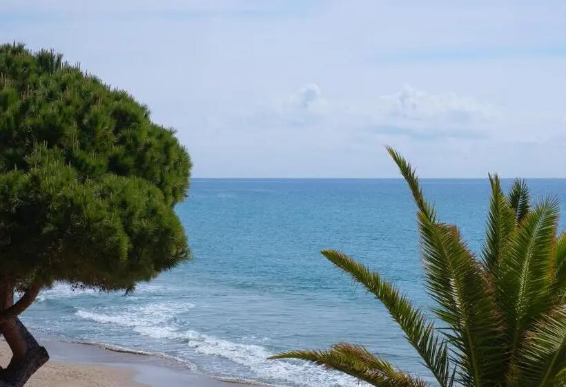 海の見える１ベッドルームアパートメント, Residence Sole Mare Alaxi Hotels