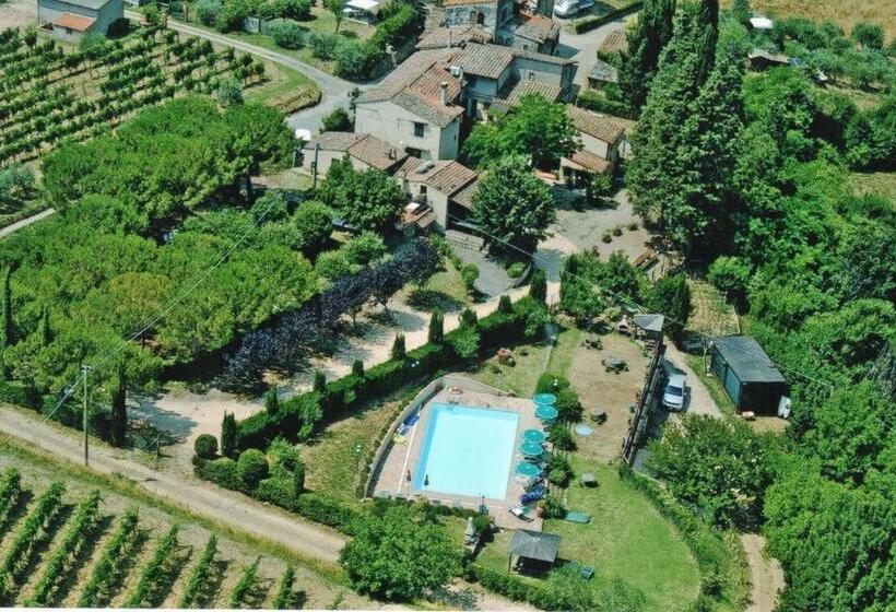 דירת חדר, Ripabuia