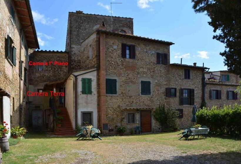 חדר סטנדרט, Ripabuia