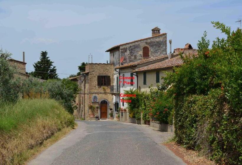 חדר סטנדרט, Ripabuia