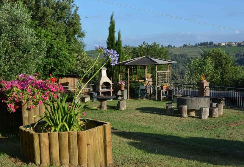 חדר סטנדרט, Ripabuia