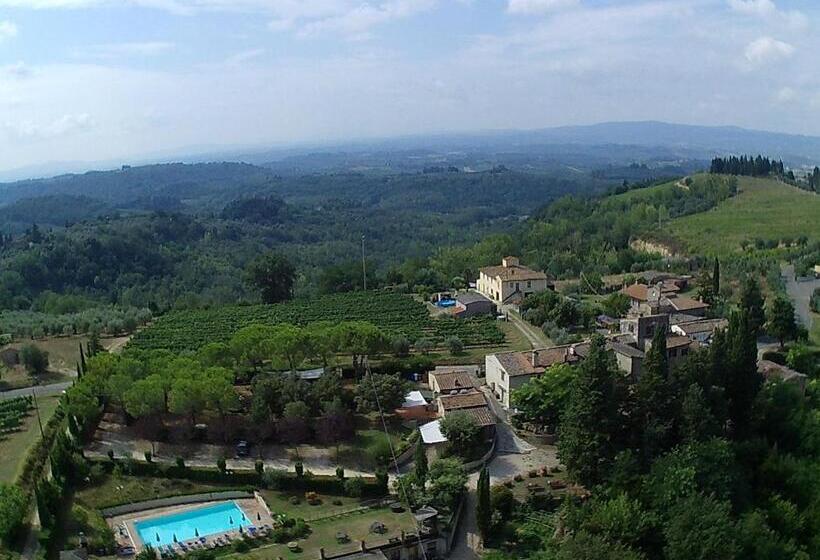 חדר סטנדרט, Ripabuia