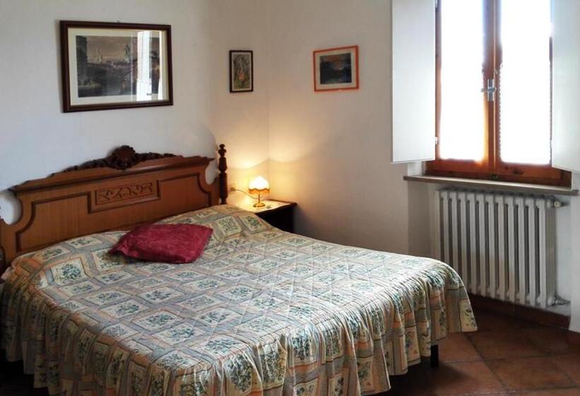 חדר סטנדרט, Ripabuia