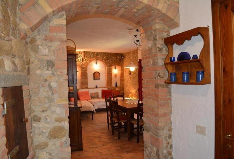 דירת חדר, Ripabuia