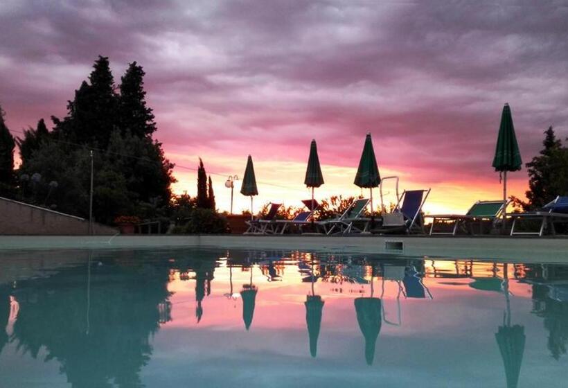 חדר סטנדרט, Ripabuia