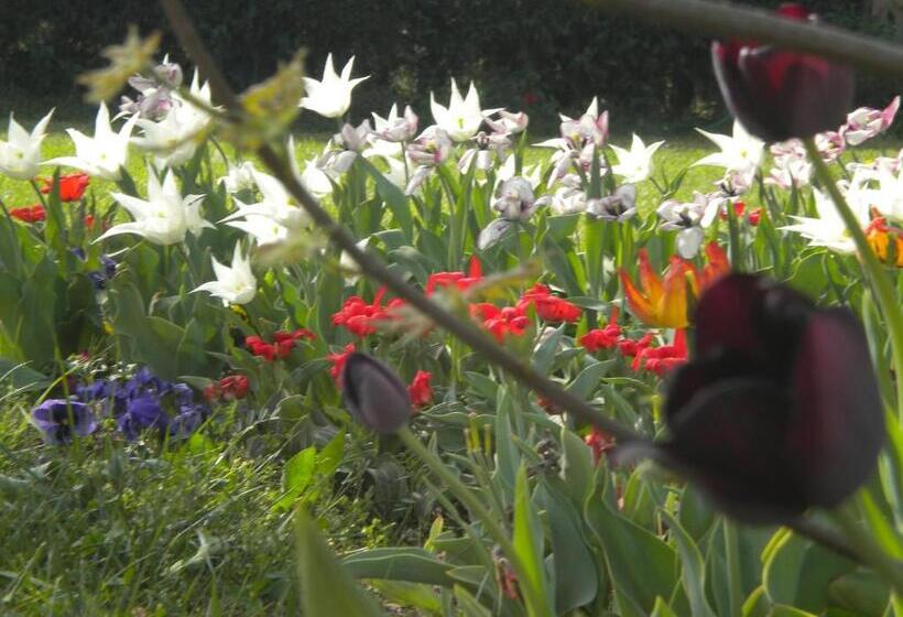 شقة غرفة نوم واحدة بالطابق الأرضى, Agriturismo Il Magicorto