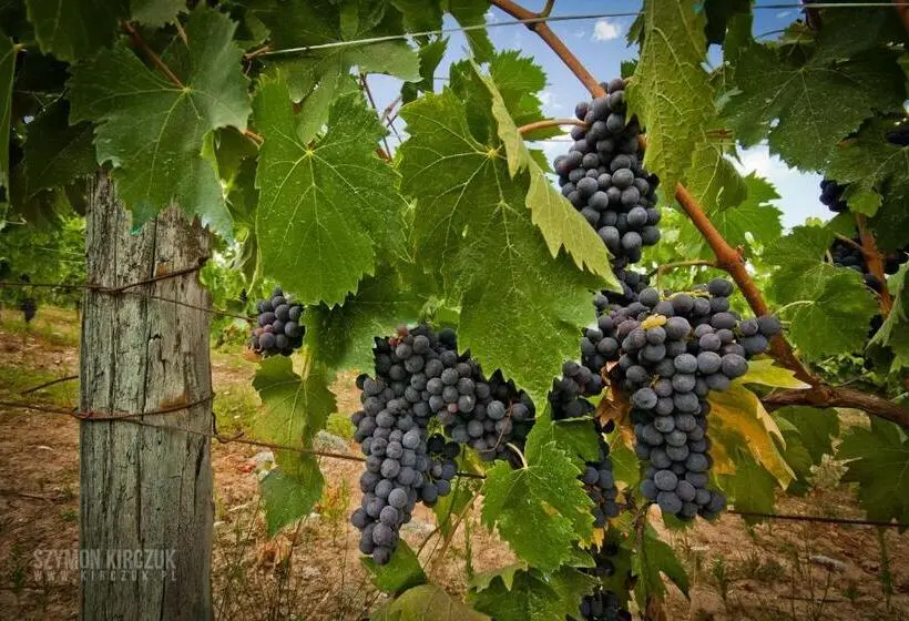 1ベッドルームハウス, Agriturismo Villino Del Grillo